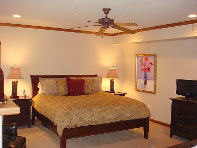Master bedroom suite w/ king bed, & gas fireplace